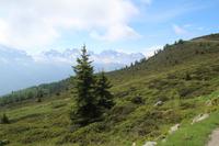 Wanderung zur Hütte Rifugio Orso Bruno