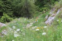 Wanderung durch das Val Di Rabbi