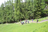 Abgang von der Casinei-Hütte