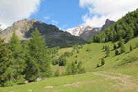 Auf den Bergen von Pejo