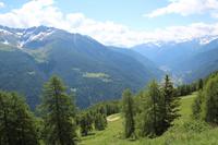 Auf den Bergen von Pejo