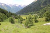 Auf den Bergen von Pejo