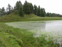 Auf dem Rosskopf - Dolomieu-Weg - Kastellacke
