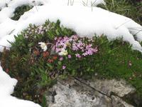Aufstieg zum Cirjoch - Heute ist der 09.Juli 