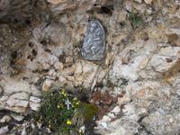 Aufstieg zum Cirjoch