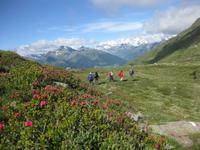 Auf dem Urweg über den Jaufenkamm