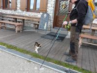 Wanderung Brückele - Rossalm - Plätzwiese - Pragser Wildsee