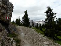 Wanderung Brückele - Rossalm - Plätzwiese - Pragser Wildsee