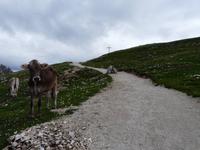 Wanderung Brückele - Rossalm - Plätzwiese - Pragser Wildsee