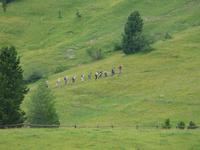 Wanderung im Naturpark Puez-Geißler