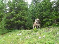 Wanderung im Naturpark Puez-Geißler