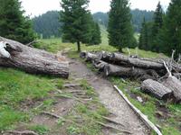 Wanderung im Naturpark Puez-Geißler