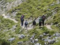 zwischen den Gaiseln