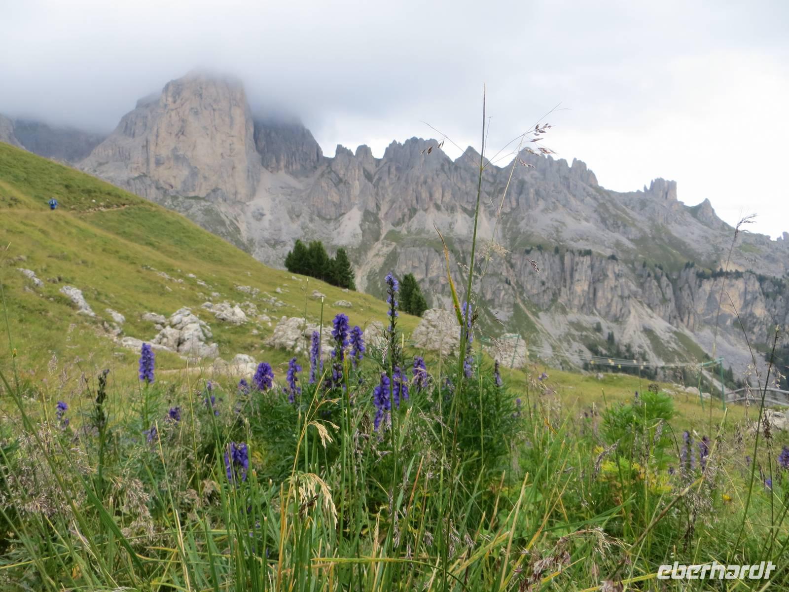 an der Rotwand im Rosengarten