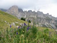 an der Rotwand im Rosengarten