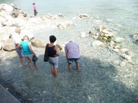 Erfrischung Suchende, wenn auch im ziemlich warmen Quellwasser am Rande des Sees 