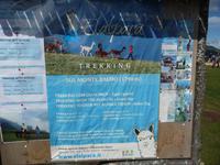 Trekking - Touren mit Alpakas kann man unternehmen.