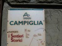 Campiglia