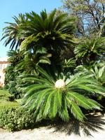 Santa Margherita - Villa Durazzo