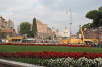 Stadtführung-Blick vom Kolosseum