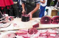 Zerlegung von Thunfisch