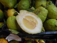 Zitronatzitrone in Taormina