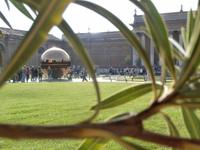 Ausflug Vatikanische Museen Rom