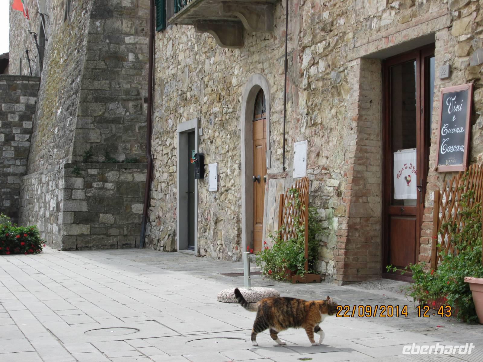 Castelina in Chianti