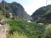 Auf der Wanderung in's Mühlental vorbeian Zitronenplantagen