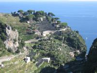 Terrassen oberhalb von Atrani