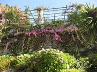 Park der Villa Rufolo