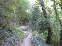 ... und nun geht's auf zur Wanderung zum Kloster San Nicola