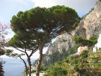 Die Südküste von Capri bei Marina Piccola