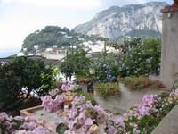 Blumenschmuck auf Capri
