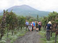 ... und der Vesuv ist in unmittelbarerNähe