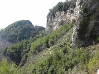 Der Weg führt durch Küstenwälder, an Höhlen vorbei 