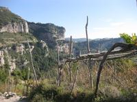 ... mit alten Weinplantagen