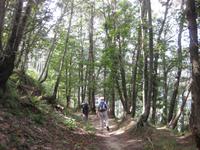 Wanderung im Eisenhüttental