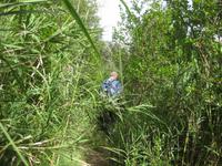 Zum Teil geht es durch üppige Vegetation