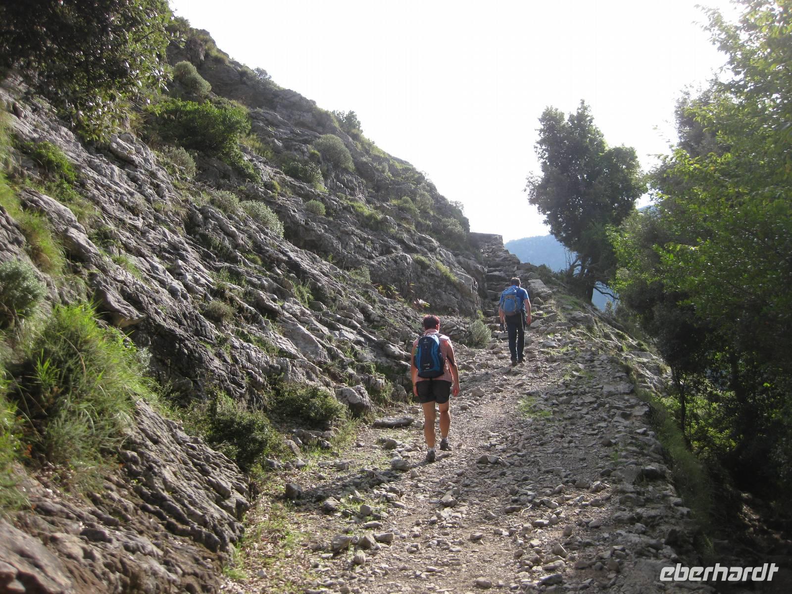 ... über Stock und Stein