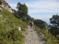 ... auf breiteren Wegen