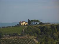 Villa südlich von Empoli.Zypressen und Pinien!