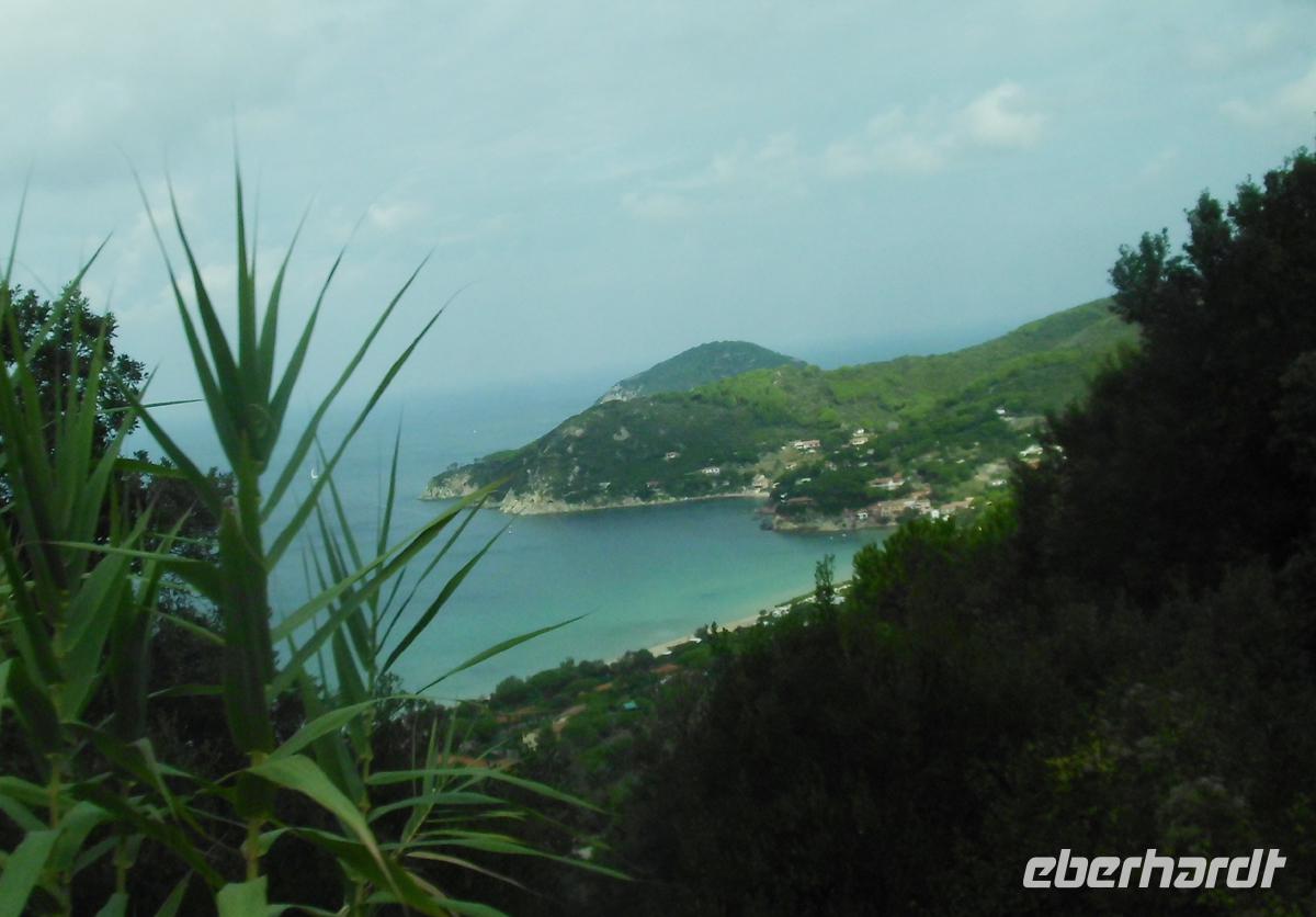 Blick auf die Bucht von Procchio