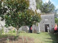 Caselle in Pittari, Magnolienbaum