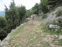 Caselle in Pittari, Pilgerweg zur Grotte San Michele