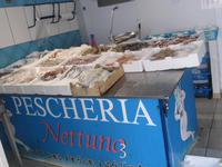 ein vielseitiges Angebot