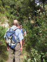 ... ist der Weg nur ein schmaler Pfad