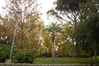 07.10.2014 Montecatini, Park