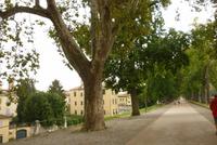 08.10.2014 Lucca, Befestigungsmauer