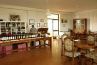 09.10.2014 Weingut bei Empoli